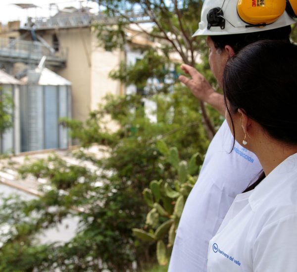 img-modelo-corporativo